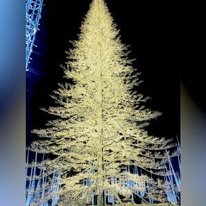 Meet your Posher, Shelley